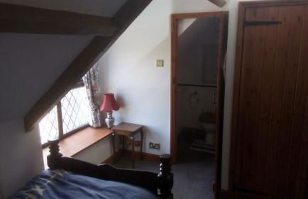 The Old Swan - Photo 17