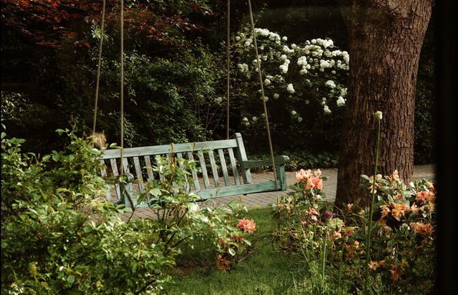 La Petite For t Antique Countryside Greenhouse - Foto 36