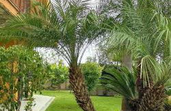 Maresole tra l'Etna e Taormina - Foto 32