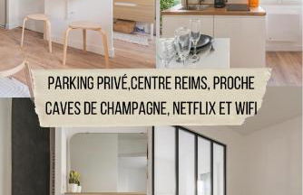 FLORA,centre Reims,parking privé - Foto 1