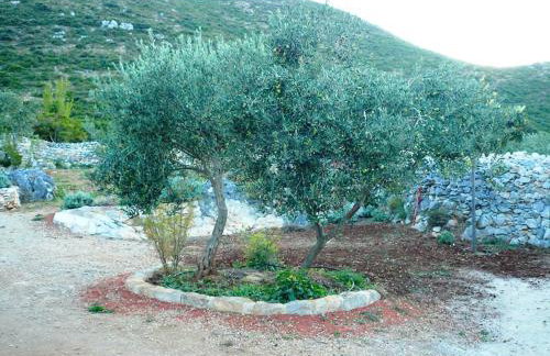 Lavender Cottage - Foto 21