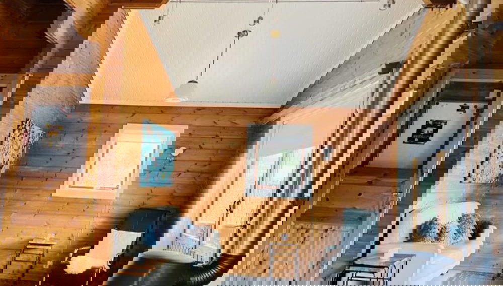 Finnish Chalet with Private Garden & Sauna near Veluwe - Foto 1, Imagen principal