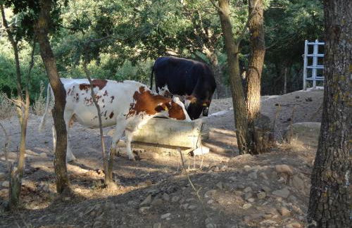 Agriturismo San Pietro - Foto 21