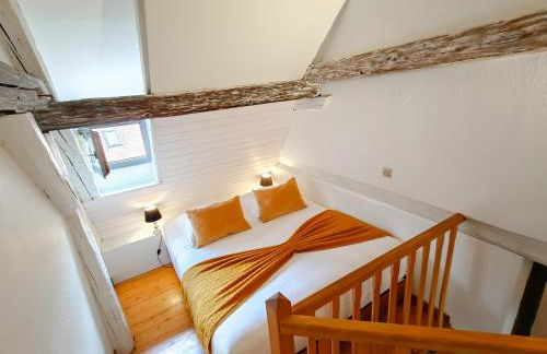 La Maison Bleue - Historic House in the Heart of Riquewihr - Foto 19