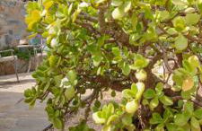 Azzurra Home-Charming Property- For 6 guests - Foto 19