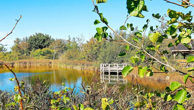 4 Person Holiday Home in Bogense-by Traum - Foto 4, Verschiedenes