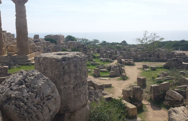 Agrisicilia - Foto 16