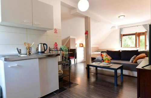 Studio Ivona - Foto 23