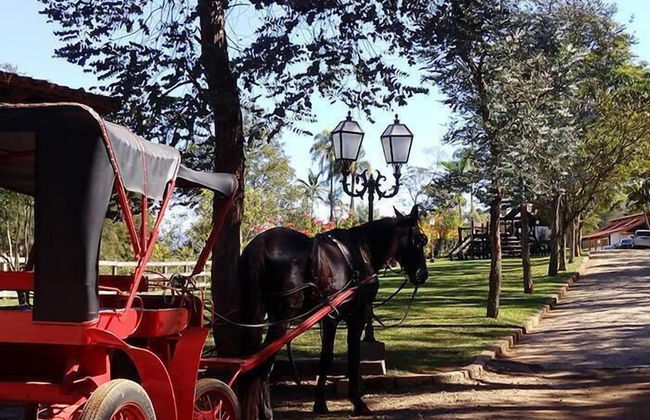 Hotel Serraverde - Foto 14