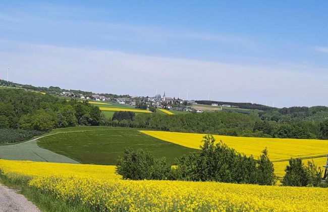 Quaint Apartment in Kaifenheim near Forest - Foto 36