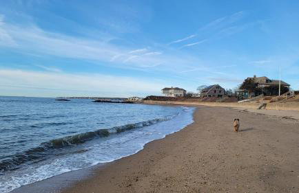 Enchanted Cottage 1 block to beach - Foto 16