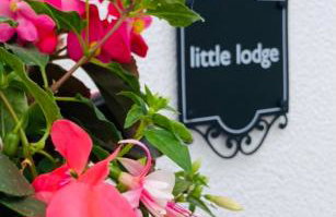 little lodge - Foto 9