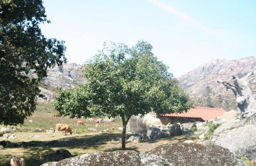 Casa Sambinho Gerês - Foto 32