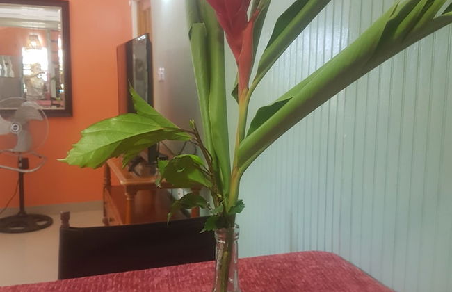 Coco Mango Suites - Photo 24