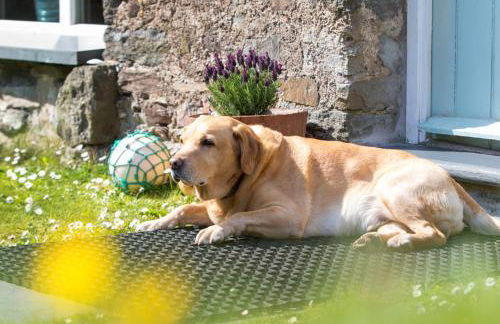 Bangeston Barn - Foto 21