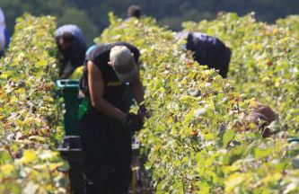 Gîte le Pilon - Foto 37