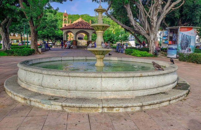 Excursión a las bahías de Huatulco - Foto 8