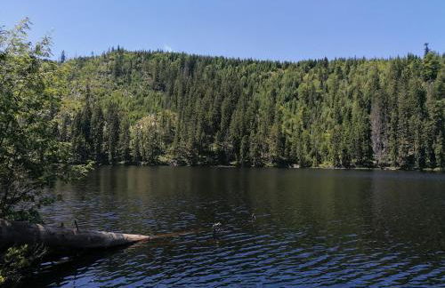 Ferienwohnung Crusilla - Foto 21