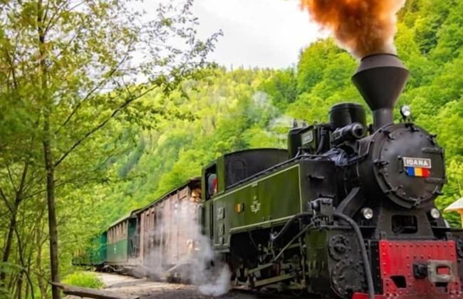 Apartament Iosif House RGR 1 - Photo 6