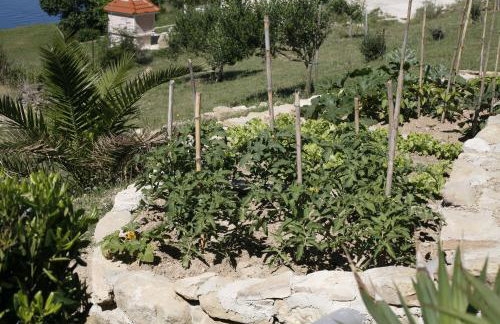 Apartments Roza - Foto 28