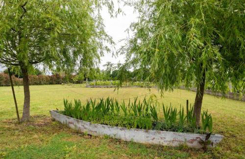 Casa da Lagoa Pateira - Foto 26