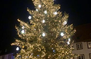 Le nid du Piémont - Photo 7