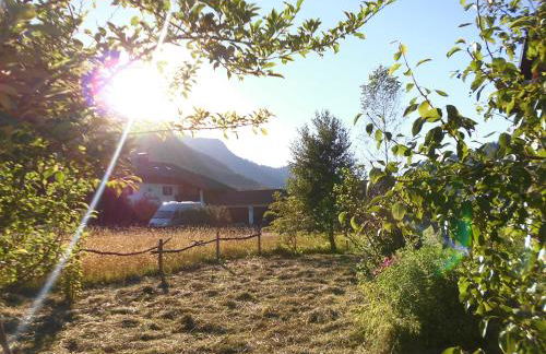 Holzhaus Besler - Foto 40