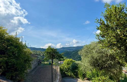 HOST4U - Olivo Al Mare Beautiful Apartment with Outside Area and Private Parking in Dolcedo - Foto 7