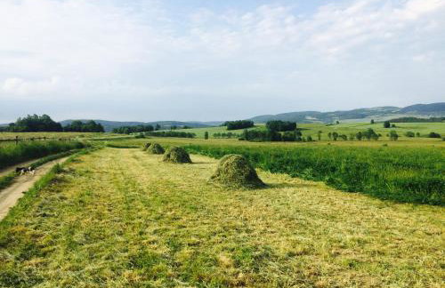 Siedlisko Wierchy - Foto 16