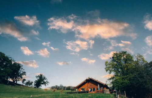 George Cabin - Log Cabin in Wales with Hot tub - Foto 12