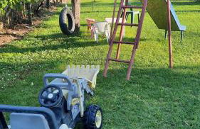 CORTE MORONA - Foto 40