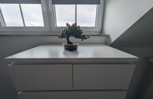 FeWo Luzia - Foto 15