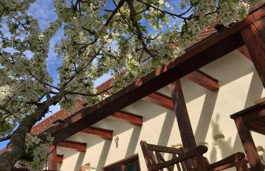 Holiday Home Luka 10 - Foto 31