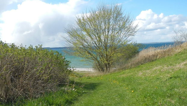 Seaside Charm in Baring - By Traum Ferienwohnungen - Foto 4