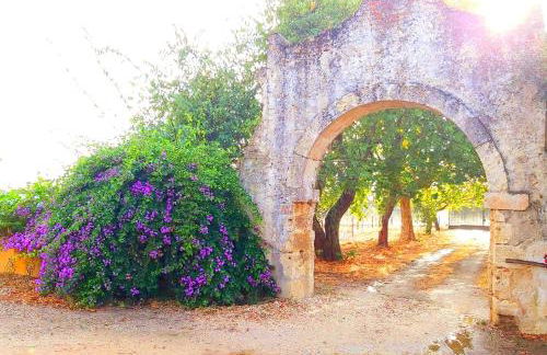 Casas Herdade do Convento da Serra - Foto 34