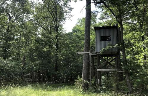 Cozy Cabin Rental near Ozark National Forest for a Relaxing Weekend Getaway in Arkansas - Photo 6
