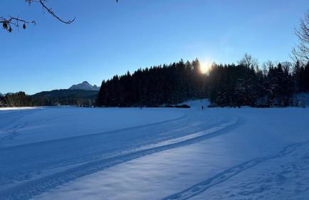 Ferienwohnung Stella - Foto 37