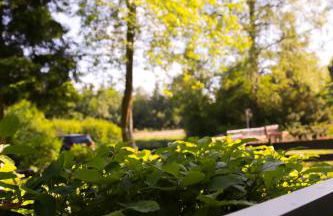 Ferienwohnung Berg-Klee - Foto 10