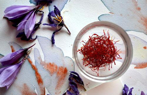 Agriturismo Selvapiana - Foto 57