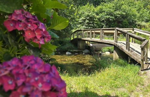 Campomuiños - Foto 29