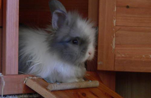 Reiterhof vom Litzlbach - Foto 50