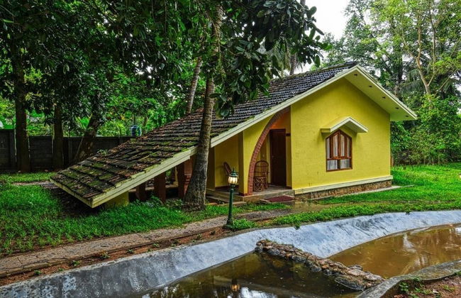Kairali Ayurvedic Health Resort Pvt. Ltd - Foto 44