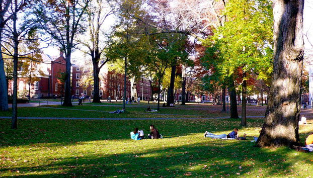 Harvard Walking Tour - Foto 2