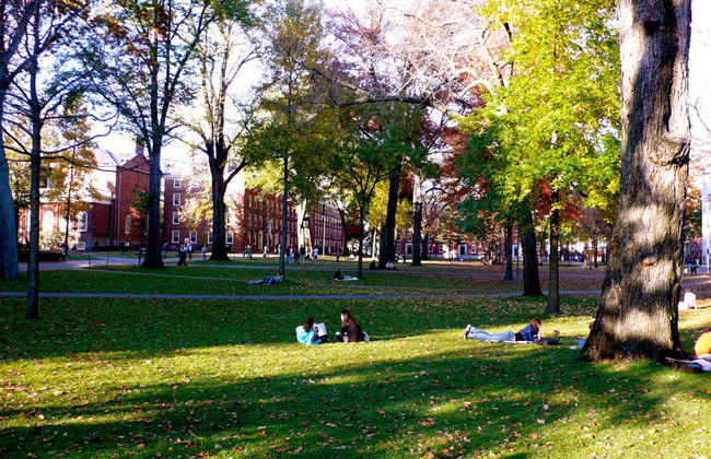 Visita guiada por Harvard - Foto 2