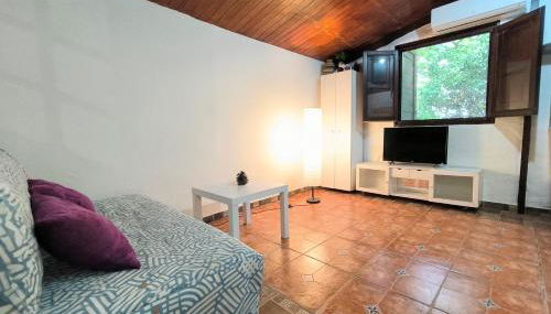 Villa Tamadaba Rural Home - Pet Friendly, Near Ocean, Ideal for Long Stays - Foto 4, pet friendly