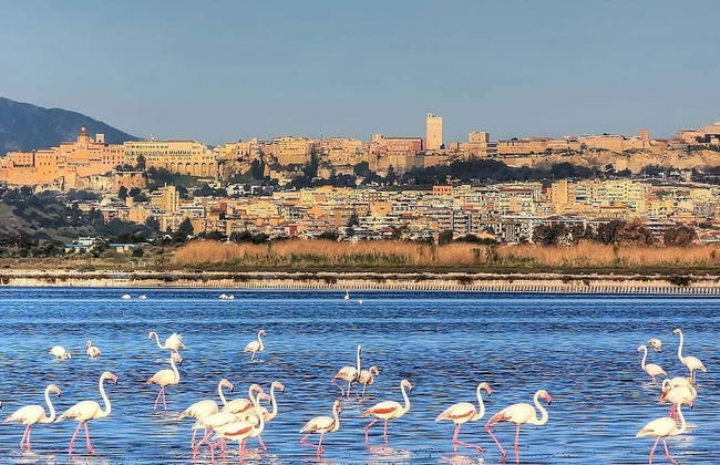Room-la Palma Double Room With Balcony L - Foto 18
