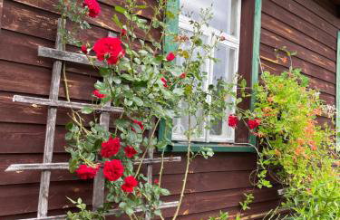 Dom na skraju Puszczy Białowieskiej - Foto 35