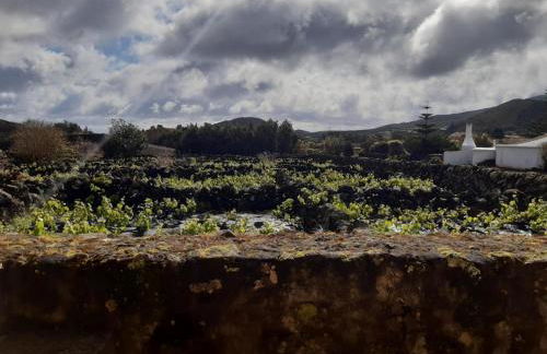 O Pomar do Gasparinho - Foto 15