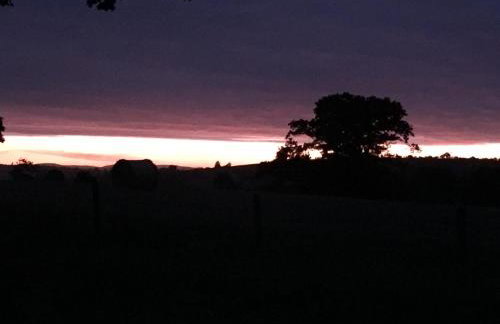 RedWood Lodge - Photo 41