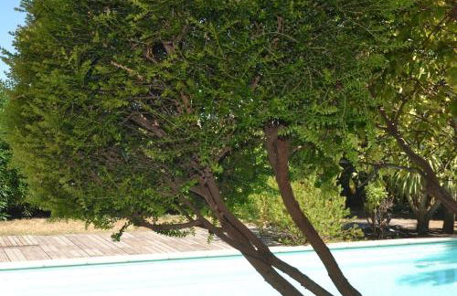 "POUR VOUS" studio dans villa avec piscine - Foto 12